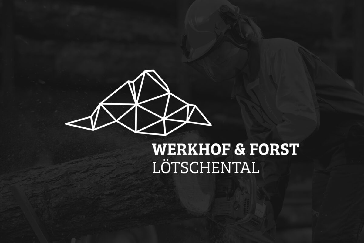 Gigergraphics logos wfl Gigergraphics - Grafik / Cartoons / Werbekampagnen / Webdesign / Karikaturen / Illustrationen / Logos / Corporate Design