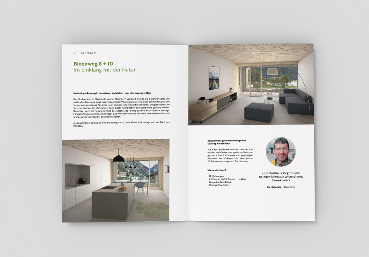 Gigergraphics news baumgartu 2 Gigergraphics - Grafik / Cartoons / Werbekampagnen / Webdesign / Karikaturen / Illustrationen / Logos / Corporate Design